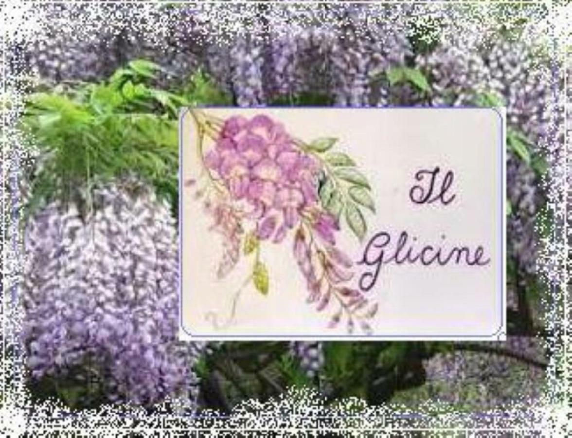Il Glicine Di Lucca Apartamento Exterior foto